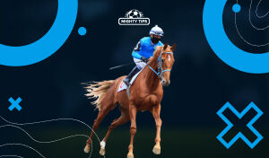 Морин уралдааны бооцоо: Хамгийн алдартай төрлүүд